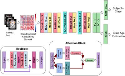 Ayu-Characterization of healthy aging from neuroimaging data with deep learning and rsfMRI